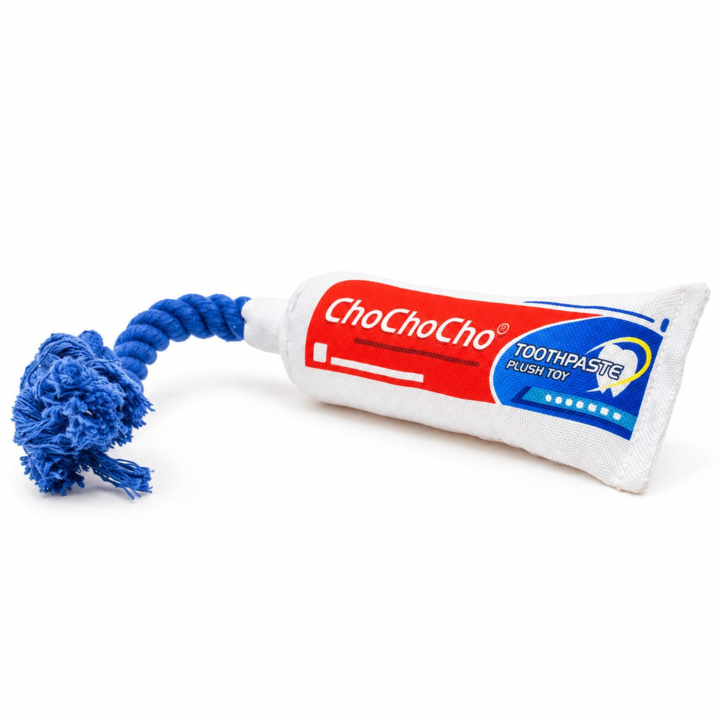 PYROEPLEEA Toothpaste Tube Squeaky Dog Toy with Colorful Printed Fabric and Blue Knotted Rope, Approx. 12 in Long, Funny Dog Birthday Gift