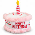PYROEPLEEA Birthday Cake Squeaky Plush Dog Toy with Candle and Happy Birthday  Embroidery, Pink, Approx. 6 in Wide, Dog Birthday Gift