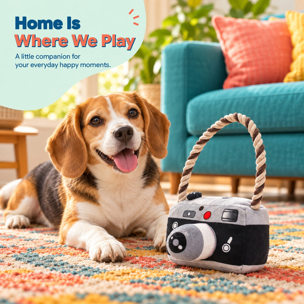 PYROEPLEEA Camera Squeaky Plush Dog Toy with Raised Lens and Braided Rope Handle, Black and Gray, Approx. 6 in Wide, Gift for Dogs and Dog Lovers